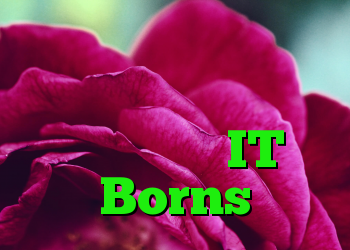 عفونت باج افزار در تأسیسات آمریکایی با استفاده از IT Borns