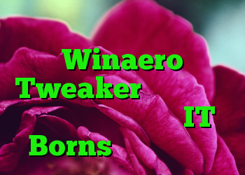 مدافع به اشتباه Winaero Tweaker را به عنوان ابزاری برای هک شدن IT Borns طبقه بندی کرد