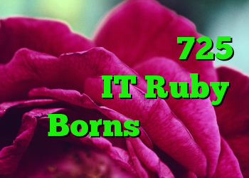 نرم افزار مخرب در 725 کتابخانه IT Ruby Borns یافت شد