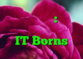 همایش اسکایپ: بدون بارگیری ، بدون حساب IT Borns
