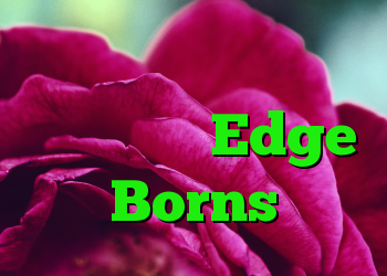 کاغذ سفید رازداری مایکروسافت Edge Borns